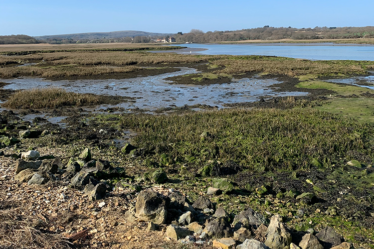 View of the estuary from the former Freshwater to Yarmouth railway line path