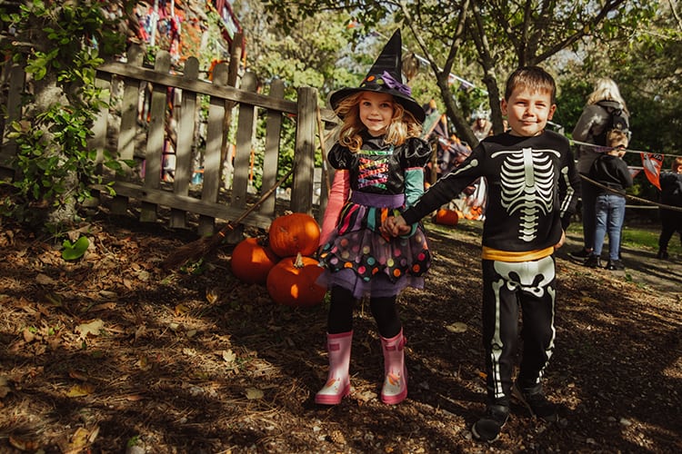 Blackgang Chine – Frights & Sprites Isle of Wight