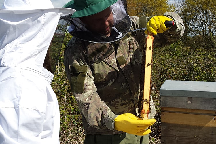 Bunbury Bees – Beekeeping Experience