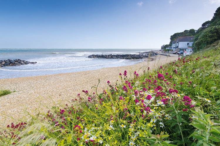 Charles Dickens - Bonchurch