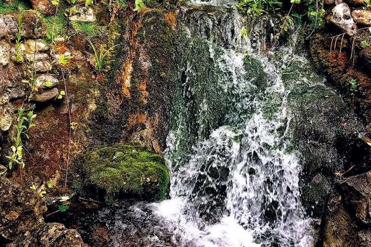 Waterfall in the gardens of Waterfall Cottage