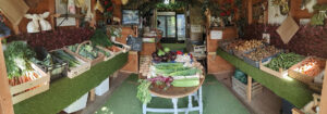 Delysia Farm Shop, Brading