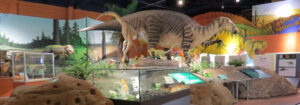 Dinosaur Isle, Sandown