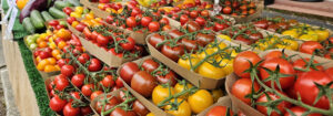 Isle of Wight Tomatoes, Arreton