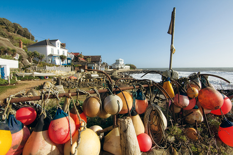 Isle of Wight Walks - Steephill Cove