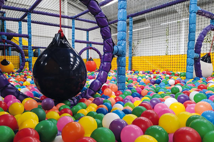 Isle of Wight attractions - Monkey Madness