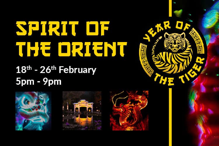 Robin Hill Spirit of the Orient