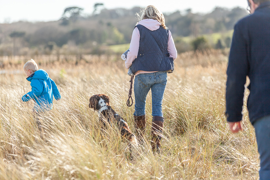 Walking - Countryside Footpaths