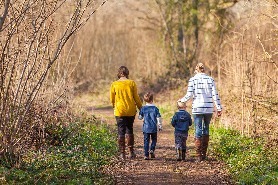 Walking - Woodland Trails