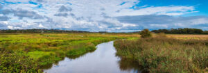 Brading Marshes Nature Reserve, Brading