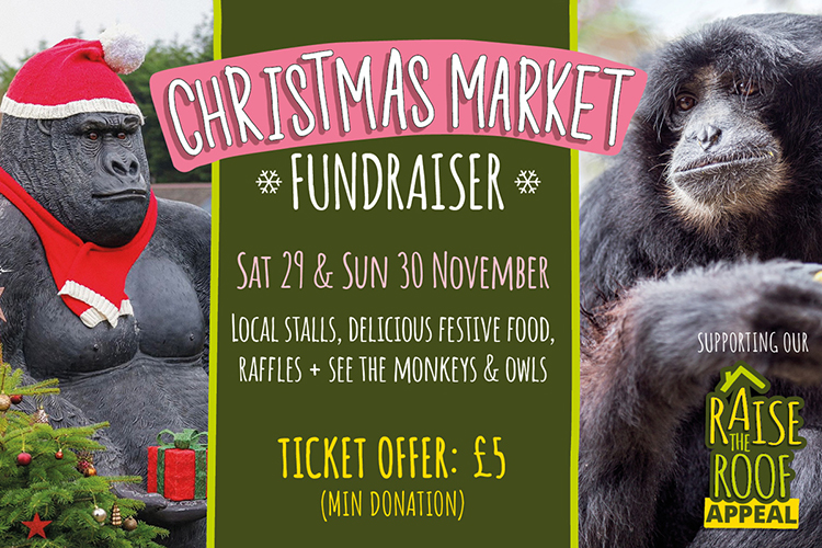Christmas Market Fundraiser at Monkey Haven