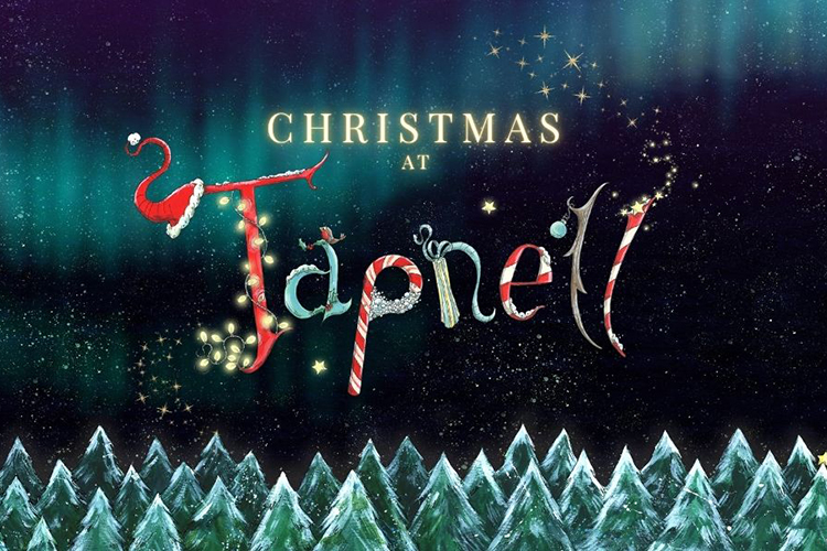 Christmas at Tapnell Farm