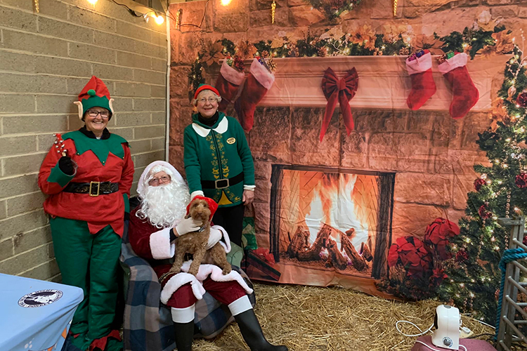 Meet Santa at the Isle of Wight Donkey Sanctuary