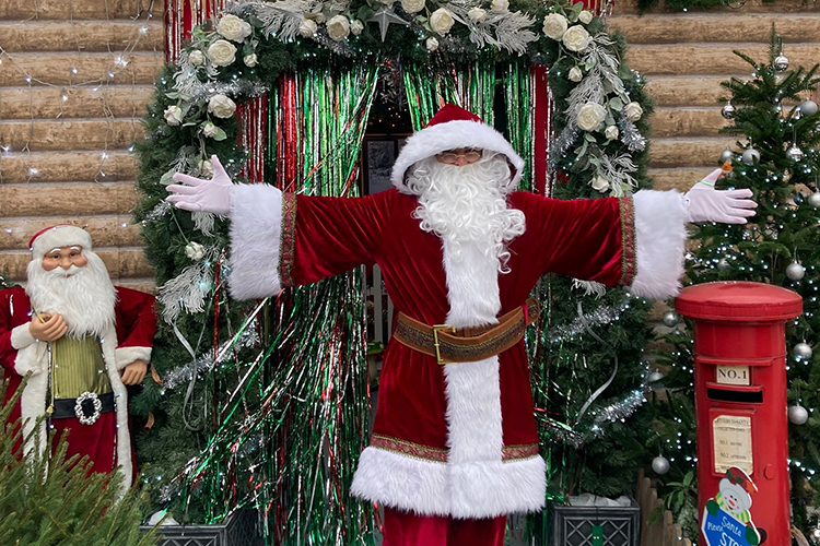 Meet Santa at Thompson's Garden Centre