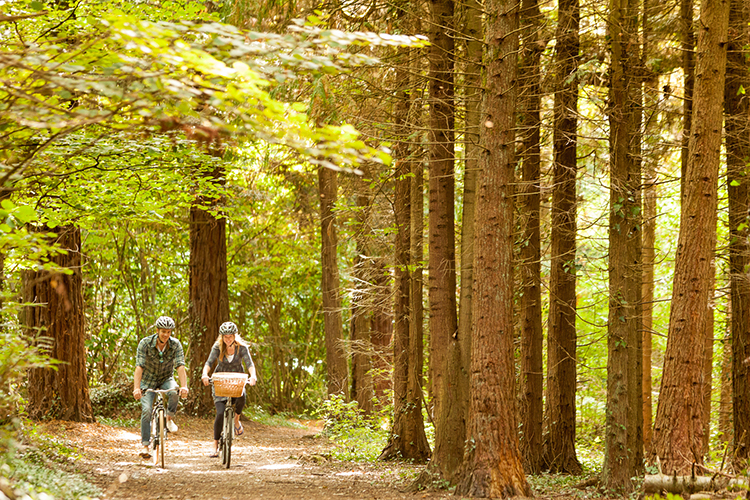 Couple cycling through one of the forests and woodlands on the Isle of Wight