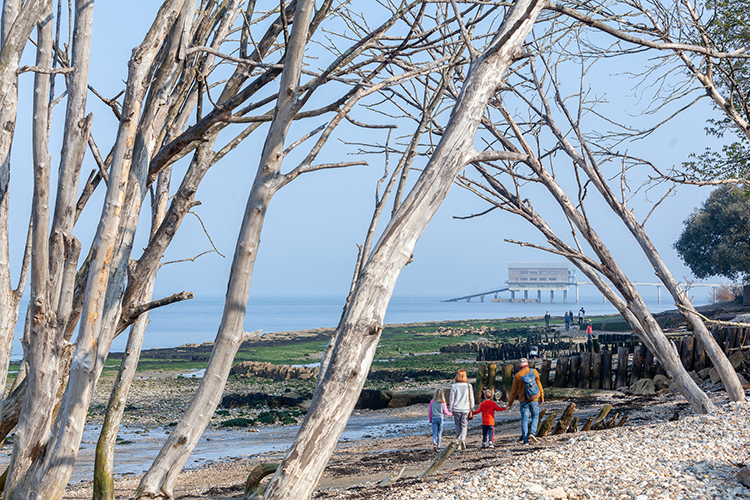 Family walking along Bembridge Beach in the East of the Isle of Wight