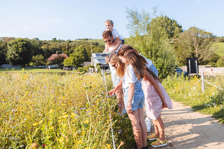 Family exploring the grounds at The Garlic Farm in Newchurch
