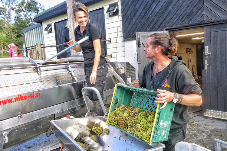 Island Foodie Collective - Adgestone Vineyard