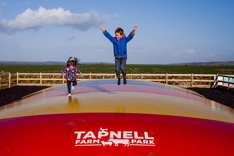 Attractions - Tapnell Farm Park