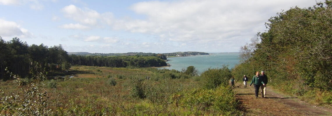 Bouldnor Forest, Yarmouth