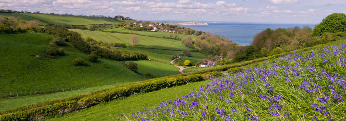 Culver from above Luccombe the Isle of Wight