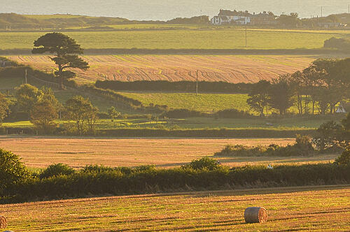 Explore Brighstone & Chale