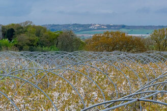Godshill Orchards, Isle of Wight