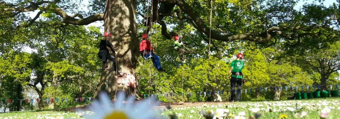 Goodleaf Tree Climbing