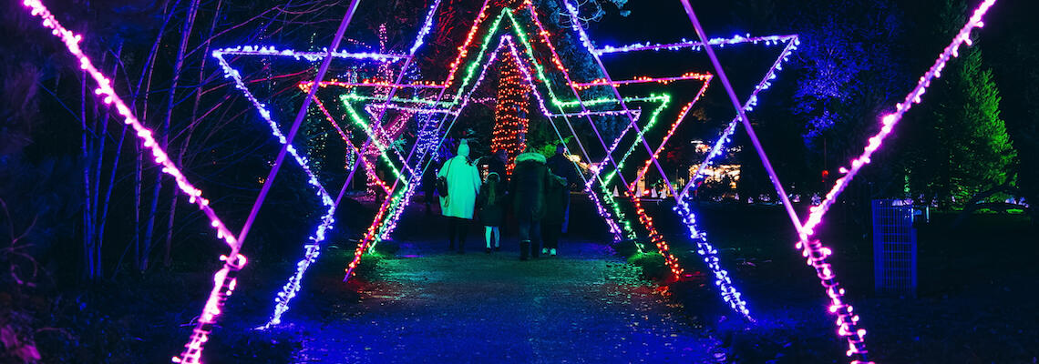 Illuminate Isle of Wight at Robin Hill, Isle of Wight