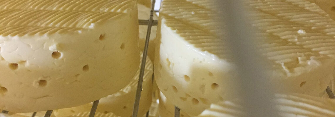 Isle of Wight Cheese Company