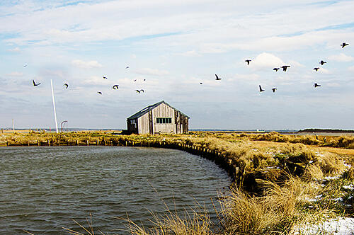 Isle of Wight things to do - Newtown Nature Reserve