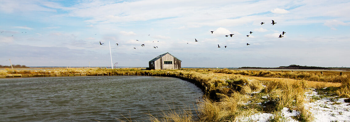 Isle of Wight things to do - Newtown Nature Reserve