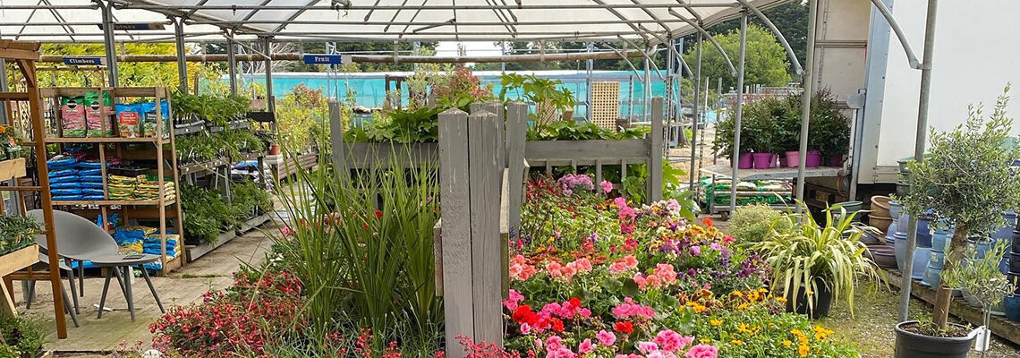 Jubilee Garden Centre, Branstone