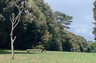 Los Altos Park