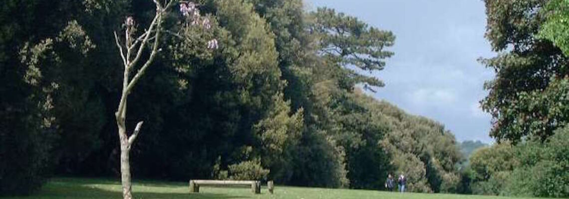 Los Altos Park