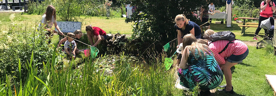 Naturezones Wildlife Education Trust, Blackwater