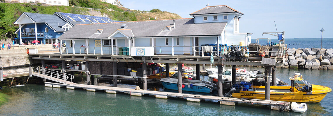 Ventnor Haven Fishery